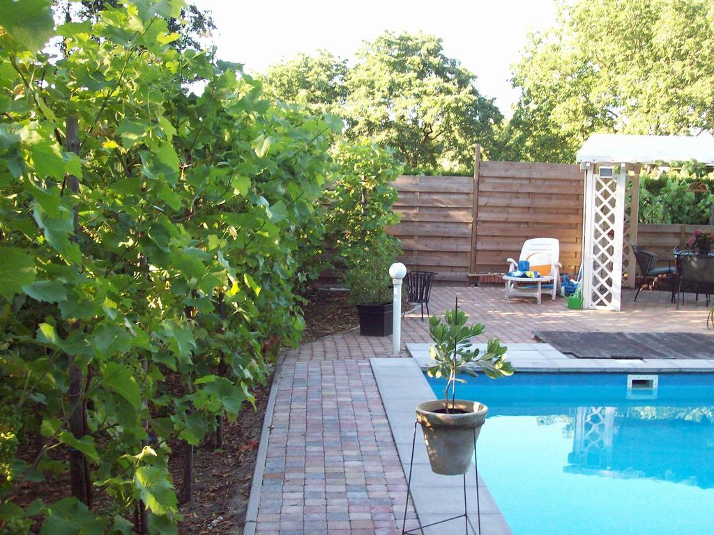 Vakantie Appartementen Engelen Stevensweert Δωμάτιο φωτογραφία