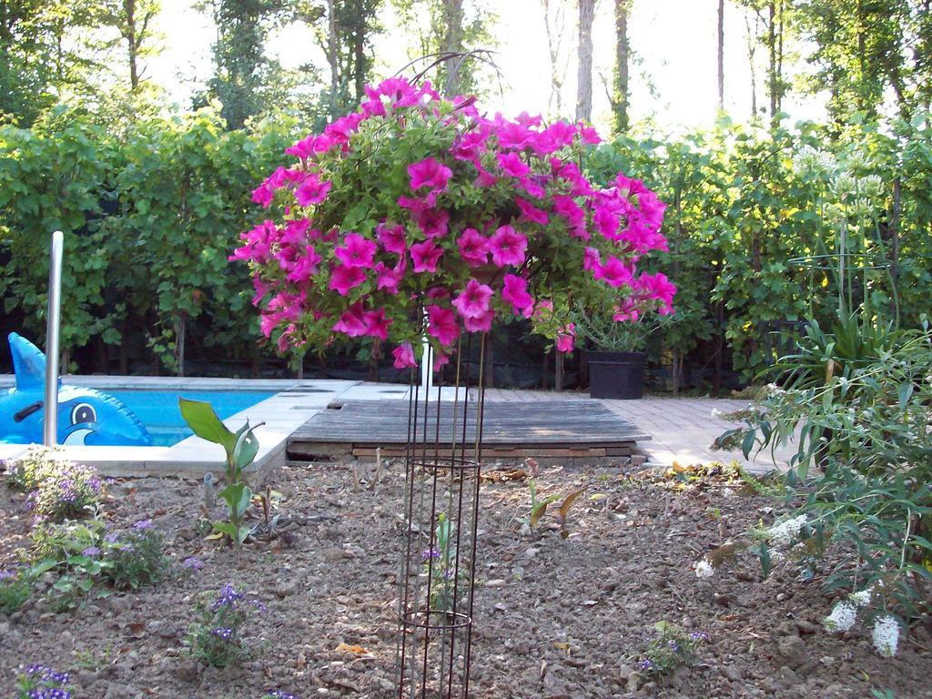 Vakantie Appartementen Engelen Stevensweert Δωμάτιο φωτογραφία