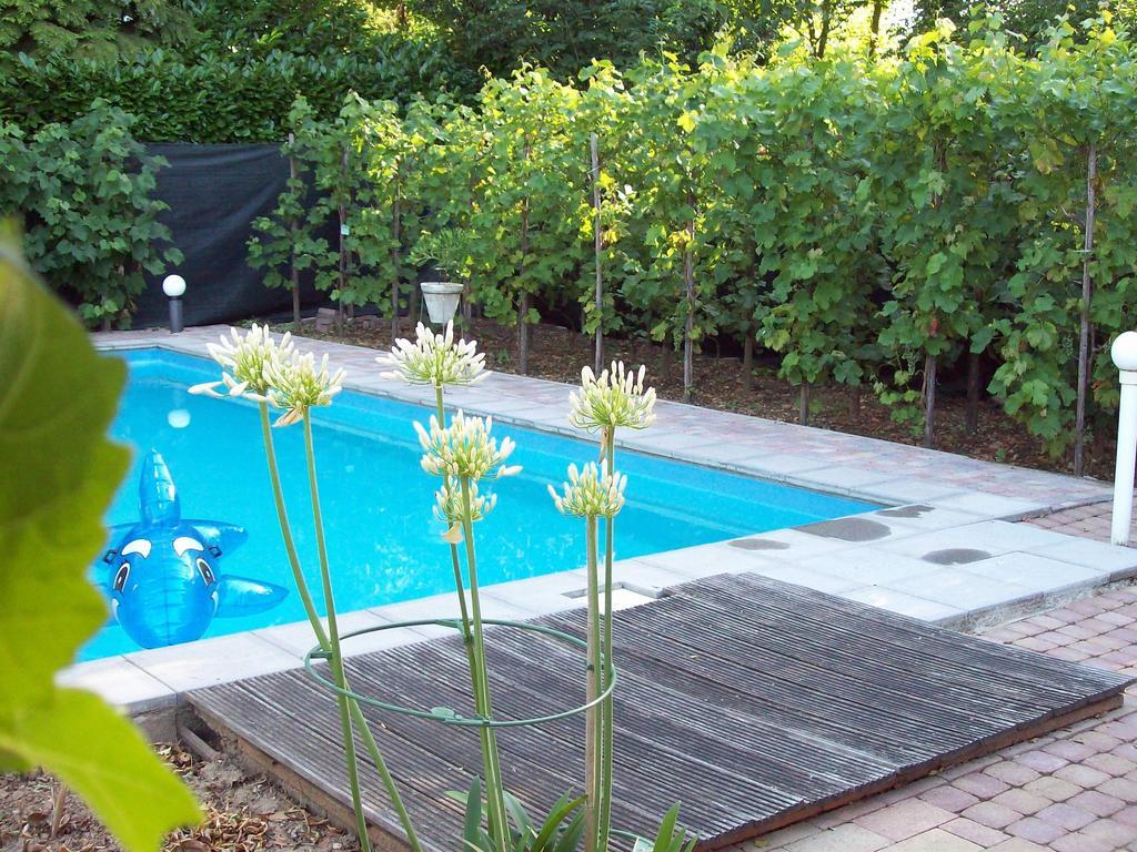 Vakantie Appartementen Engelen Stevensweert Εξωτερικό φωτογραφία